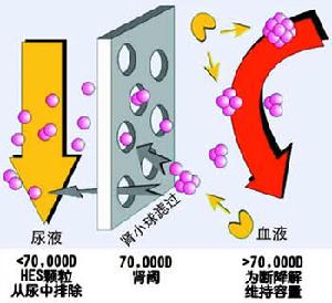 卡那黴素