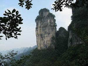 湖北後河國家級自然保護區