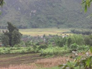 平水自然村