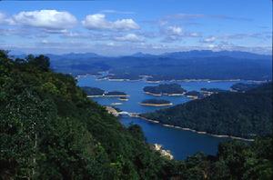 流溪河森林公園