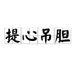 提心弔膽[詞語釋義]