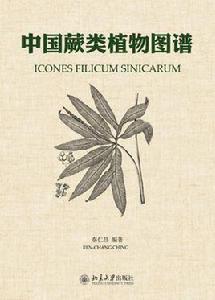 中國蕨類植物圖譜