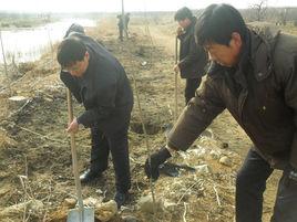 西留村[河北黃驊市常郭鎮下轄村]