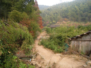 虎口嶺山道