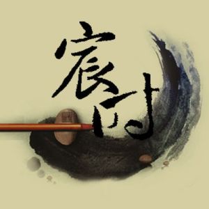 宸時logo