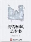 青春如風是本書