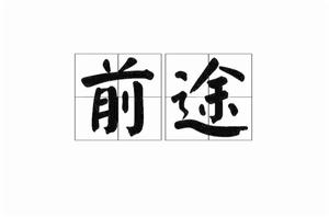 前途[詞語釋義]