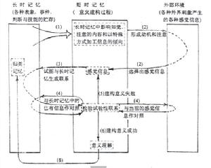 維特羅克的學習生成過程模式圖