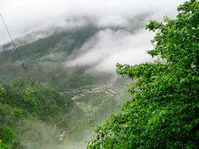 雪峰山森林公園景