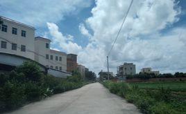 大路尾村[廣東省茂名市金塘鎮大路尾村]