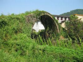 巨口村[福建省南平市武夷山市星村鎮巨口村]