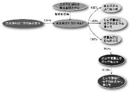 瑕疵股權