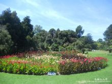 墨爾本皇家植物園