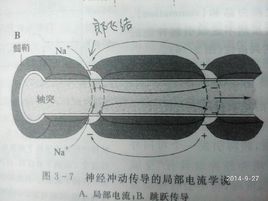 郎飛結