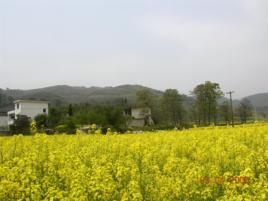 藍田村[福建省泉州市德化縣​葛坑鎮藍田村]