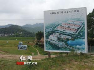 聖毅園板藍根涼茶基地