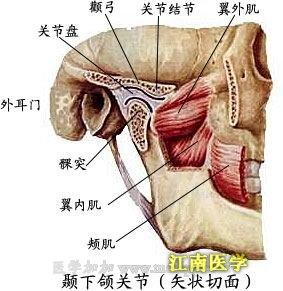 顳下頜關節復發性脫位