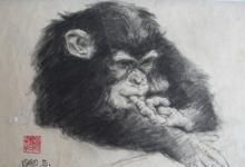 《生靈集》動物素描寫生系列