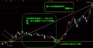 《時間的玫瑰：但斌投資札記》