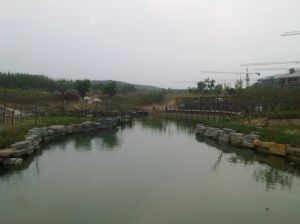 桂河濕地公園