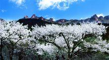 千山[遼寧省鞍山市千山風景區]