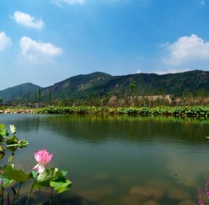 桑溝灣國家城市濕地公園