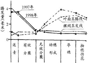 蒸發蒸騰