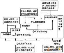 人性假說理論