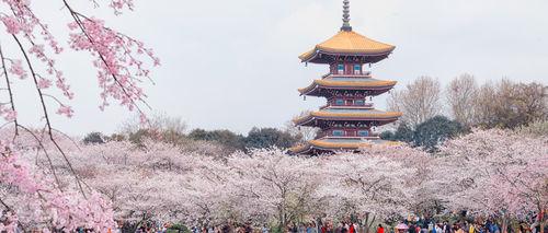 武漢東湖櫻園