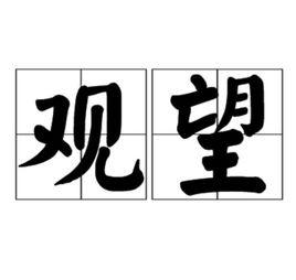 觀望[中文詞語]