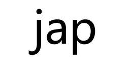 jap[英語中對Japanese的略稱]