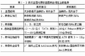 病毒基因工程