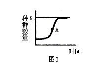 種族增長曲線