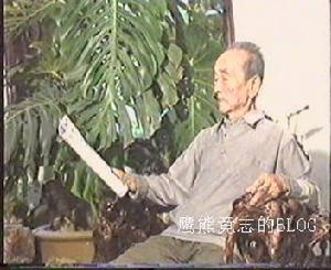 盧忠仁[武術名家、盧氏結構創始人]