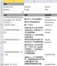 CONCATENATE函式