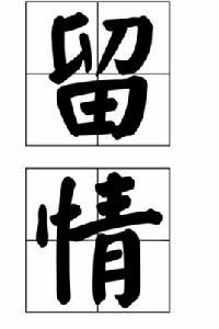 留情[漢語詞語]