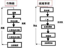 生態行銷的生物鏈