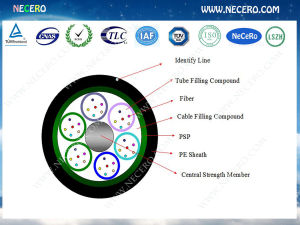 necero產品