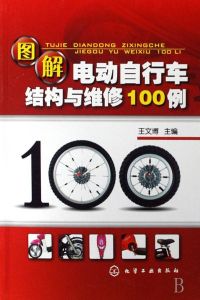 《圖解電動腳踏車結構與維修100例》