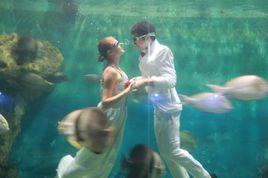 海底婚禮