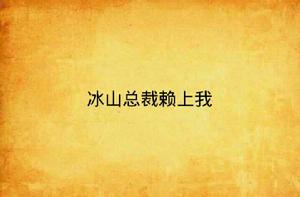 冰山總裁賴上我[起點中文網小說]