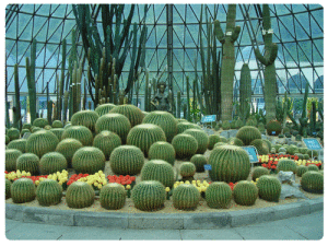 深圳仙湖植物園