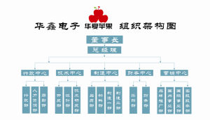 華夏蘋果組織架構