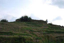 桂陽村[福建省泉州市德化縣桂陽鄉桂陽村]