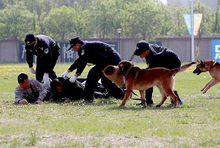 警犬技術師