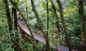 雞公山森林公園