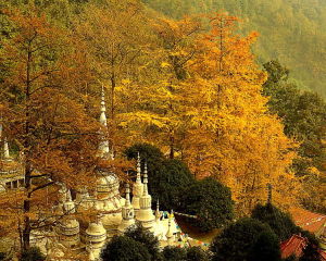 白岩寺