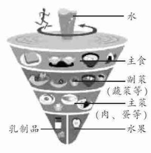 營養型膳食結構