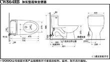 衛洗麗