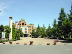 日本平成國際大學